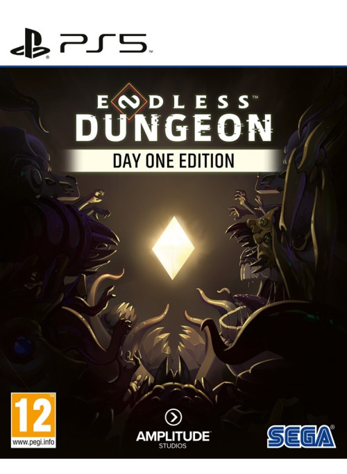 Игра PS5 Endless Dungeon, (Английский язык), Первого дня издание