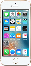 iPhone SE 32Gb, золотой - 1