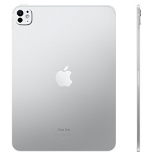 2024 Apple iPad Pro 11″ (M4, 1024GB, Wi-Fi + Cellular, серебристый) - 1