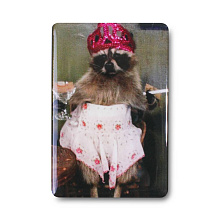 Стикер 3D VLP Mem Raccoon - 0