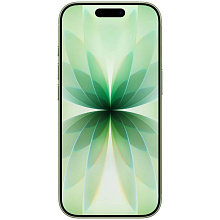 Apple iPhone 17 nano SIM+eSIM 256GB, зеленый (Sage) - 1