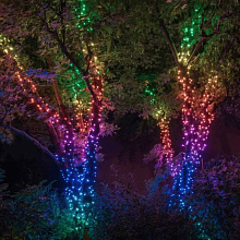 Умная гирлянда Twinkly Strings 600 LED Multicolor edition, черный - 2