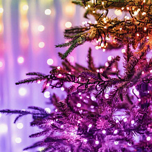 Умная гирлянда Twinkly Strings 600 LED Multicolor + White edition, черный - 2