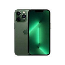 iPhone 13 Pro 1024Gb, «Альпийский зеленый» - 0