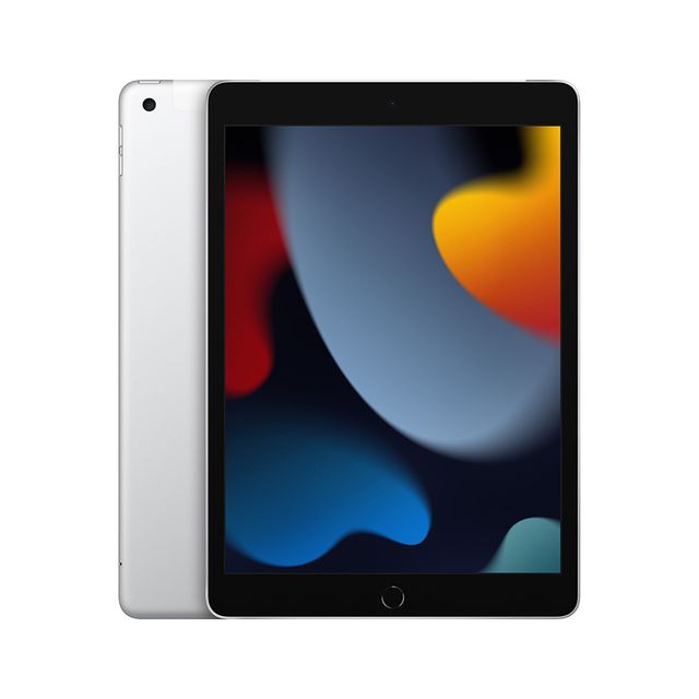 2021 Apple iPad 10,2″ серебристый (MK493RU/A) (64GB, Wi-Fi + Cellular)