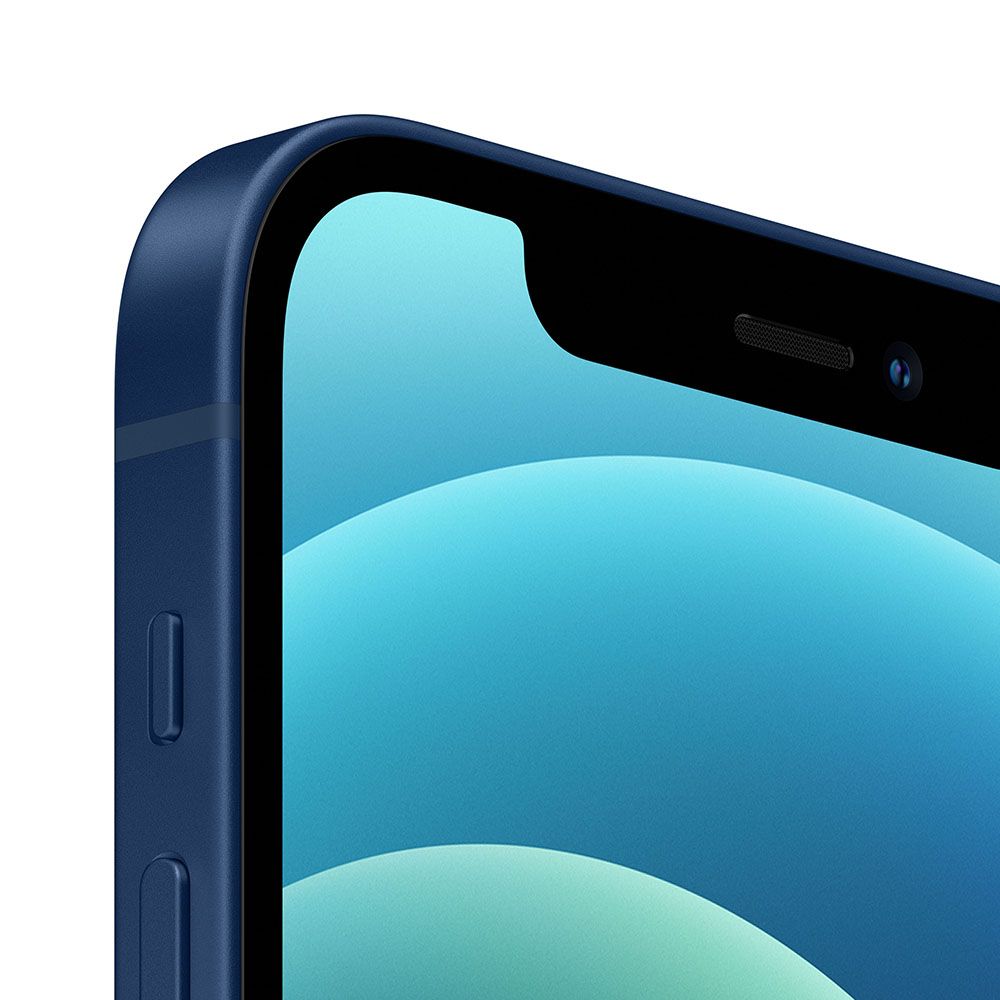 Apple iPhone 12 синий (6,1", 64GB, MGJ83RU/A)— фото №1